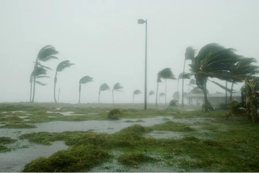 What to Do When a Hurricane Damages Your Rental Property